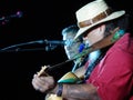Willie K plays on stage at Sea Life Park