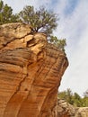 Willis Creek Narrows near Cannonville, Utah Royalty Free Stock Photo