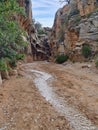 Willis Creek Narrows near Cannonville, Utah Royalty Free Stock Photo