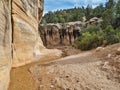 Willis Creek Narrows near Cannonville, Utah Royalty Free Stock Photo