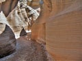 Willis Creek Narrows Royalty Free Stock Photo