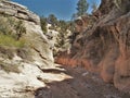 Willis Creek Narrows