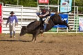 Willits Frontier Days Rodeo