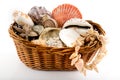 Willow basket with souvenirs from holiday Royalty Free Stock Photo