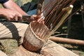 Willow basket weavers