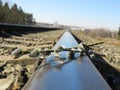 Willow branch on the rails of the railway