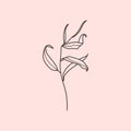 Willow branch with leaves in a trendy minimalistic style. Outline of a botanical design elements. Floral vector
