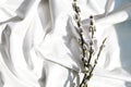 Willow branch on white silk fabric background . Brunch of the blossoming pussywillow on early spring