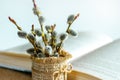 Willow branches with catkins near the opened book