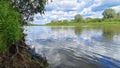 Willow branches overhang the bank with tall grass and the river. On the opposite bank is a deciduous forest. There are ripples on Royalty Free Stock Photo