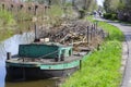 Willow branches on a pontoon in Reeuwijk Royalty Free Stock Photo