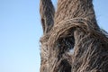 willow branches sculpture, witch hatch, castle, in sun set