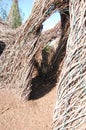 willow branches sculpture, witch hatch, castle, in sun set