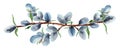 Willow branches spring watercolor border Royalty Free Stock Photo