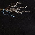 Willow branches on star galaxy granite counter