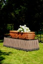 A willow casket - contemporary style Royalty Free Stock Photo