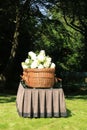 A willow casket - contemporary style