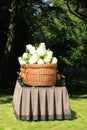 A willow casket - contemporary style Royalty Free Stock Photo