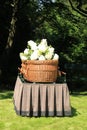 A willow casket - contemporary style Royalty Free Stock Photo