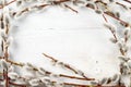 Willow catkins frame on white textured wooden background