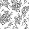 Willow eucaliptus and agonis seamless pattern. Hand drawn black and white tile background for wrapping, linen, fabric, wallpaper