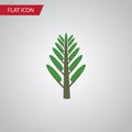 Willow Flat Icon. Jungle Vector Element Can Be Used For Jungle, Willow, Tree Design Concept. Royalty Free Stock Photo