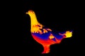 Willow grouse thermal imager