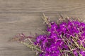 Willow-herb purple flowers on old grunge wooden background. Top view. Minimalistic mockup. Royalty Free Stock Photo