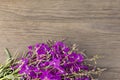 Willow-herb purple flowers on old grunge wooden background. Top view. Minimalistic mockup. Royalty Free Stock Photo