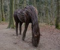 Willow horse sculpture grazing, by Anna Cross