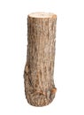 Willow log isolated Royalty Free Stock Photo