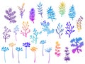 Willow and palm tree branches, fern twigs, lichen moss, mistletoe, savory grass herbs, dandelion flower vector illustrations set.