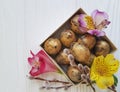 Willow natural, quail softness flower alstroemeria springtime eggs Easter on a white wooden box Royalty Free Stock Photo