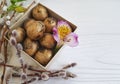 Willow, quail softness flower alstroemeria springtime eggs Easter on a white wooden box Royalty Free Stock Photo