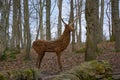 Willow red deer stag sculpture by Anna Cross