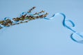 Spring. willow seals on blue background