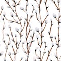 Willow seals on white background. Hand drawn watercolor seamless pattern Royalty Free Stock Photo