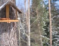 Willow tit, Poecile montanus bird perched on the bird feeder table on tree trunk with sunflower seed in beak. Snowy Royalty Free Stock Photo