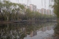 Willow Tree in early spring in Beijing