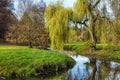 Willow tree by the Pond Royalty Free Stock Photo