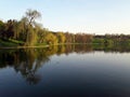 Willow tree reflexion Royalty Free Stock Photo