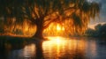 Willow tree by river at sunrise Royalty Free Stock Photo