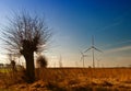 Willow tree and windmills Royalty Free Stock Photo