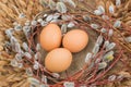 Willow twigs and natural eggs. Easter concept. Royalty Free Stock Photo
