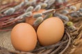 Willow twigs and natural eggs. Easter concept. Royalty Free Stock Photo