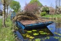 Willow twigs on a pontoon in Reeuwijk Royalty Free Stock Photo