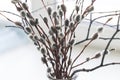 willow twigs in a vase