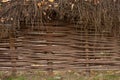 Willow wicker fence