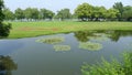 Willows with grassland in west lake