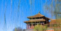 The willows swayed before the Imperial Palace in spring Royalty Free Stock Photo